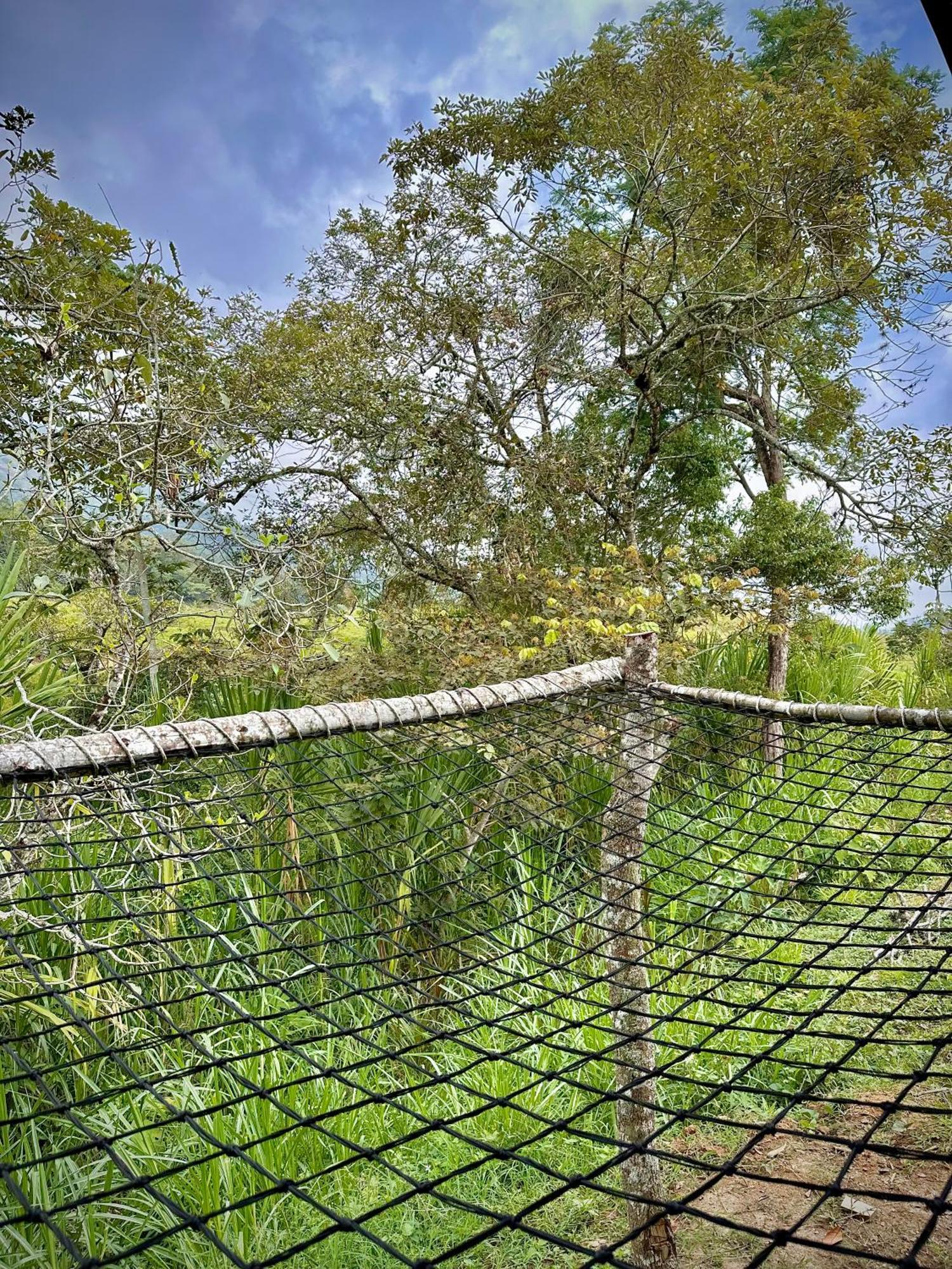 Finca Ecoparaiso Ibagué Exterior foto